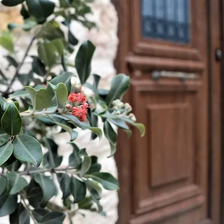 Malama's Maisonette At The Historic Center Apartment *